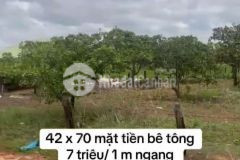 Kẹt tiền bán gấp 3361,1mv đất cách xã cư k bang, e a súp, đắc lắc 1.5km chỉ 300tr. lh0888889603