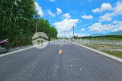 Bán đất vườn mặt tiền hương lộ 62 diên tân qh full thổ cư