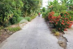 Giá siêu rẻ chỉ với 799 triệu