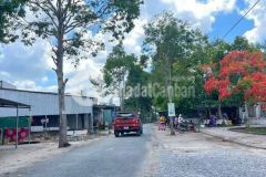 Bán đất lộ cái chanh đông phú lg17m