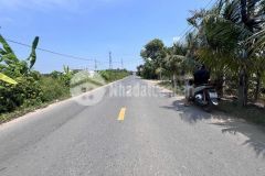 Bán đất mặt đường tỉnh lộ 2 diên thọ full thổ cư khu nhà nước phân lô