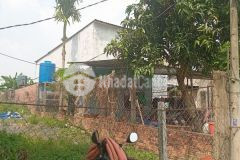 Bán lô đất vườn 428m2 giá chỉ 2 tỷ 500 đông thạnh hóc môn