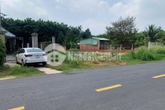 Cần ra gấp lô đường nhựa tân định bến cát