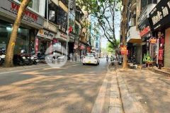 Bán gấp nhà phố đặng văn ngữ, 7 tầng thang máy, ô tôdt 100m2, 7 tầng, mt 6m, 31.5tỷ
