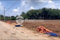 Bán nhanh lô đất ngay chợ an linh