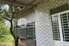 Chủ kẹt tiền cần bán gấp nhà vườn gần long khánh, 3800m2 phủ hồng toàn bộ, nhà cấp bốn 100m2