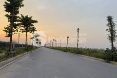 Chuyển nhượng 12.000m2 khu công nghiệp gia bình bắc ninh