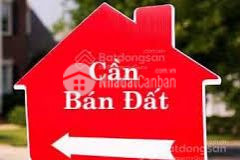 Bán đất lô góc mặt đường tỉnh lộ 535 xóm 5,xã phúc thọ,huyện nghi lộc, nghệ an