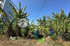 Bán lô đất kdc sở vhtt đường bưng ông thoàn, kề khu samsung, phú hữu, q9, 110m² 71trm2 thương lượn