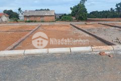 Cần bán gấp 90m2 tam nông phú thọ chỉ 700tr