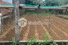 Bán lô đất giá tốt cấu lâu đông,duy phước sẵn sổ