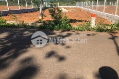 393m2 có 80m2 thổ cư, đường nhựa 6m, đất vuông vức, đã xây tường bao đẹp, giá 1,3 tỷ