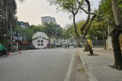 Bán đất phố nguyễn khuyến, văn quán, hà đông, đường đôi, kinh doanh 126m2, giá 37,2 tỉ