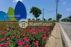 Bán đất khu dịch vụ hỗn hợp vsip giá tốt từ 1 tỷ xx lh 034 846 8889