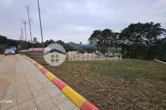 Đất nền gần kcn thanh sơn chỉ từ 3xx triệunền