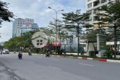 Trần thái tông ccmn 6 tầng thang máy 500trnăm 15 tỷ chờ bóc tem