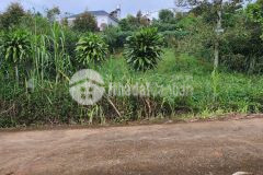 505m2 đất vườn xã đạm bri, tp bảo lộc giá 2,6 tỷ