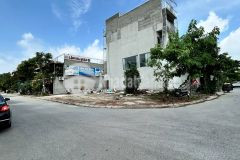 Bán lô góc biệt thự khu đấu giá 31ha trâu quỳgia lâm, 230m2 sẵn dòng tiền,siêu hiếm