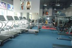 Sang lại tất cả trang thiết bị phòng gym tại quận thủ đức q2, chỉ 200tr. lh0913889972