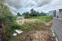 Bán đất diên sơn giá rẻ có thổ cư rộng rãi xây nhà vườn sát bên đồng khởi
