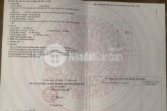 Liền kề kđt thiên mã sở hữu vị trí kim cương ngay trung tâm 8ty