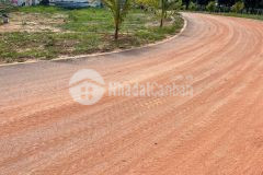 Sỉ nhanh 3 lô 300m2 cặp đại nam giá êm