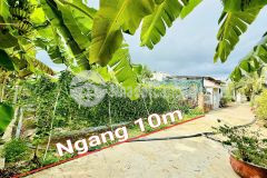 Bán đất bình lộc full thổ cư ngay trung tâm dân cư thôn đảnh thạnh