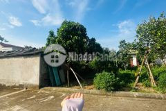 Cần tiền bán gấp 72m2 yên mĩ bình yên chưa đến 2 tỉ