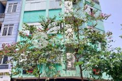 Bán nhà mặt phố nguyễn ngọc vũ, 3 thoáng, 80m2 7 tầng thang máy, mt 10m, 39 tỷ