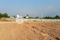 Bãi 1000m2 tại hoà xuân cho thuê giá chỉ 10 triệu, đường xe container