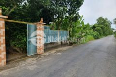 700m2 đất có 300m2 thổ mặt tiền đường trương văn đa, xã tân nhựt giá 7 tỷ