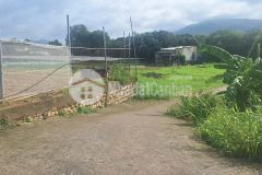 Bán đất đường tránh ql56 tân hải, phú mỹ, bà rịa vũng tàu. 1773m2 có 300m2 thổ cư. lh0588201669
