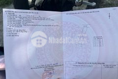 Chính chủ bán đất 4.5x25m góc đường mỹ hạnh dt823 đức hòa long an chỉ 1.2tỷ sẵn sổ