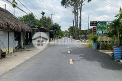 Gấp lắm rồi.bán gấp miếng đất 123m2 ở xã tân an hội củ chi giá 730 triệu.