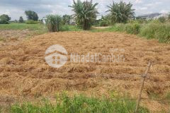 Bán đất thổ lúa 387m2 ấp 3 mỹ yên, bến lức, long an tây ninh mới, giá đầu tư chỉ 2 tỷ