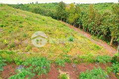 Đất vườn view hồ trị an thế đất như đà lạt chỉ 950 triệusào