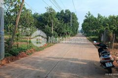 Bán nhanh lô đất ngay chợ an linh thành phố hcm