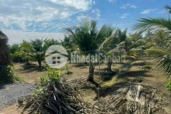 1700m2 đất ấp 8, lương hòa, bến lức, long an giá 2,9 tỷ