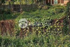 810m2 đất mặt tiền lô b thích thiện hòa, xã lê minh xuân, bình chánh giá 6,5 tỷ