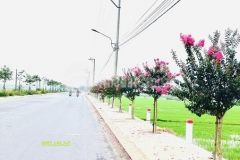 Cơ hội sở hữu 5 lô đất nền sát hội an đà nẵng mới giá chỉ từ 530 triệu1 lô