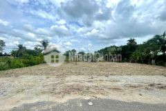 5 nền thổ cư mặt tiền đường nhựa xã tân an hội, củ chi dt 121m2 giá 1.4 tỷ nền