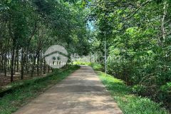 Chủ đi định cư cần bán đất vườn 1000m2 full hồng, 80m2 thổ cư tại túc trưng định quán