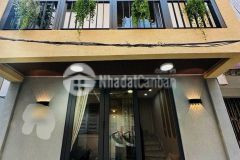 Nhà phong cách cổ điễn 60m2 ở phố trần đại nghĩa, xã tân kiên, bình chánh, hồ chí minh, pháp lý đầ