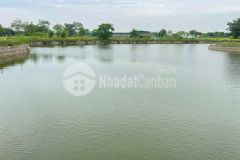 Bán đất hoà lạc trung tâm cnc cạnh đh fpt, ga mêtro 172m mt 12,2 vew hồ giá 4 tỷ