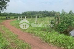 1800m2 đất lúa xã nhuận đức, củ chi giá 2,2 tỷ