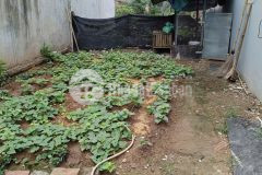 Cực thơm 30 m2 nhỉnh 3 ngọc thụy trong đê