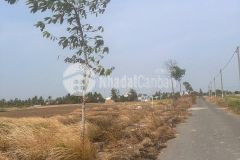 Đất vàng cho nhà đầu tư, dt 82m², xây dựng tự do, gần kcn, giá tốt nhất khu vực