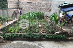 Cực thơm dất long biên 46, mặt tiền 5 m ngõ rộng ô tô 4,5 tỷ