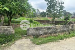 Thửa 175m thôn thanh sơn 175 5 8 22 3.1 tỷ