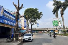 Đất đẹp hiếm kinh doanh đỉnh mặt đường 40m phố giáp hải dt 62m2. giá 255 triệu m2